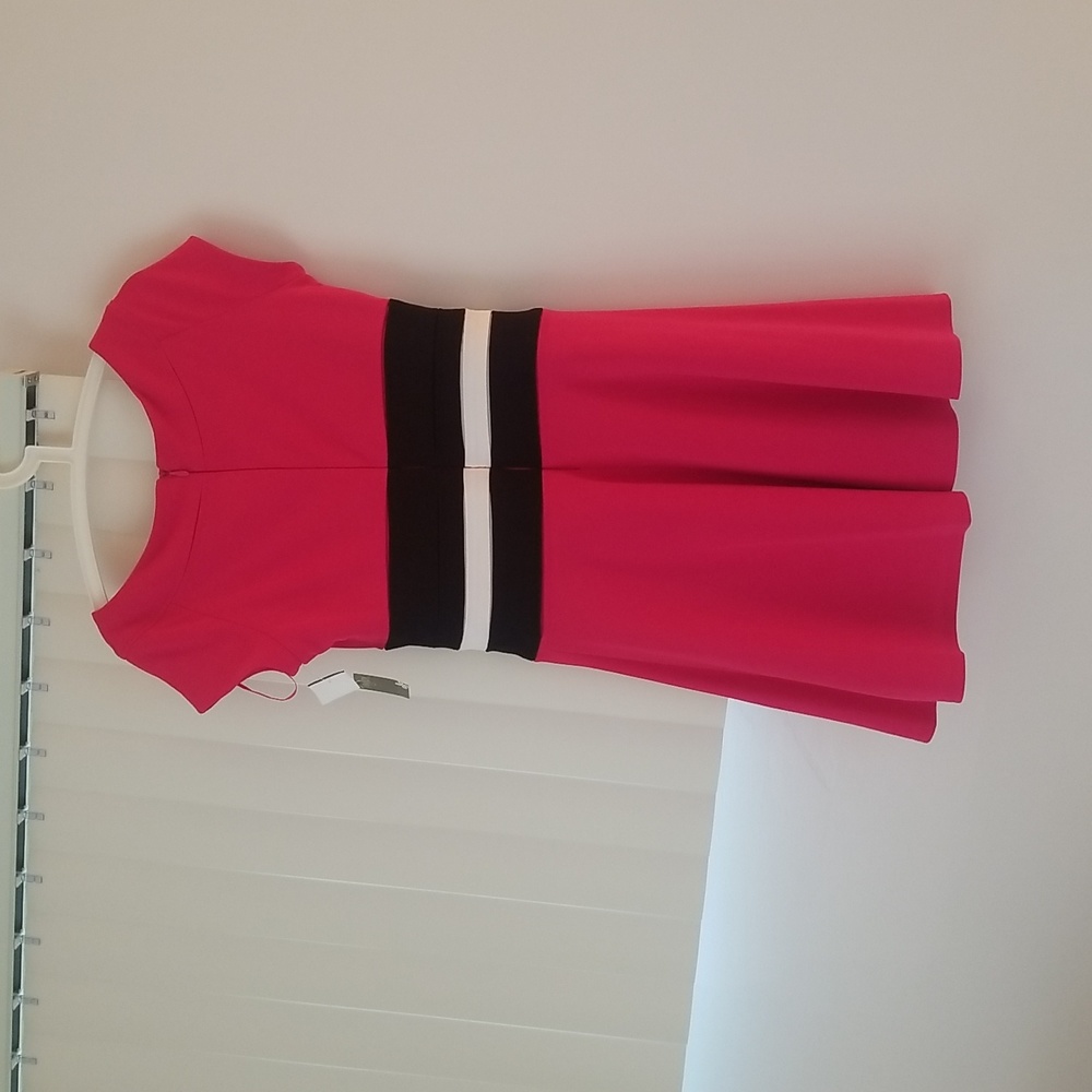 ❤️ ❤️ Taylor Pink, White & Black Color Blocked Dress - Picture 2 of 5